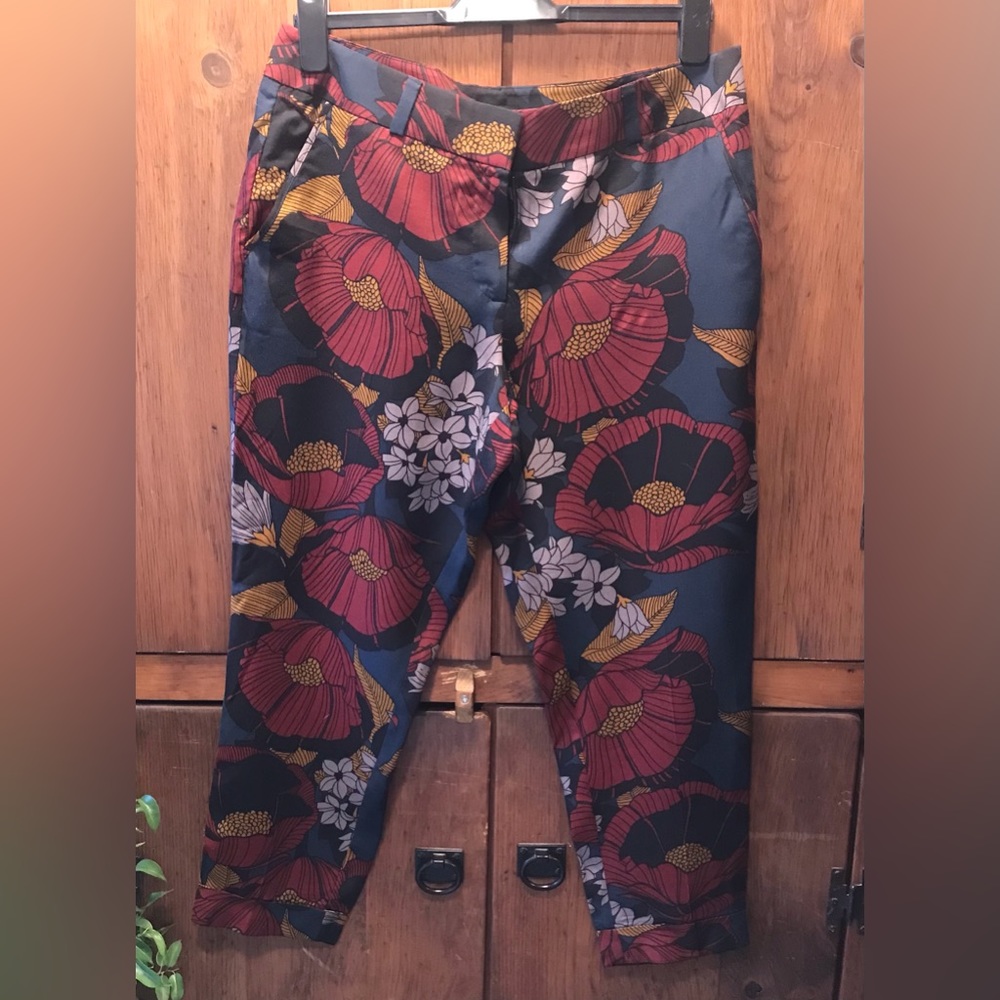 NWT Colourful Ann Taylor Capris - Size 10P